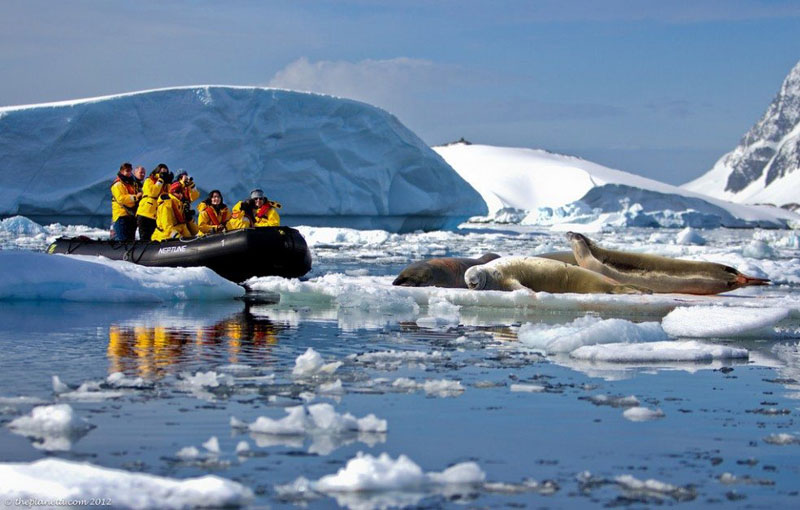 南極大陸のプレノー湾のゾディアックツアー