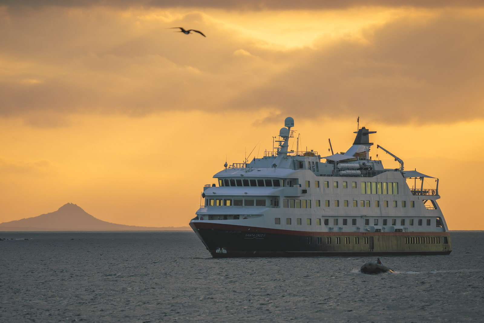 Expedition Cruises 