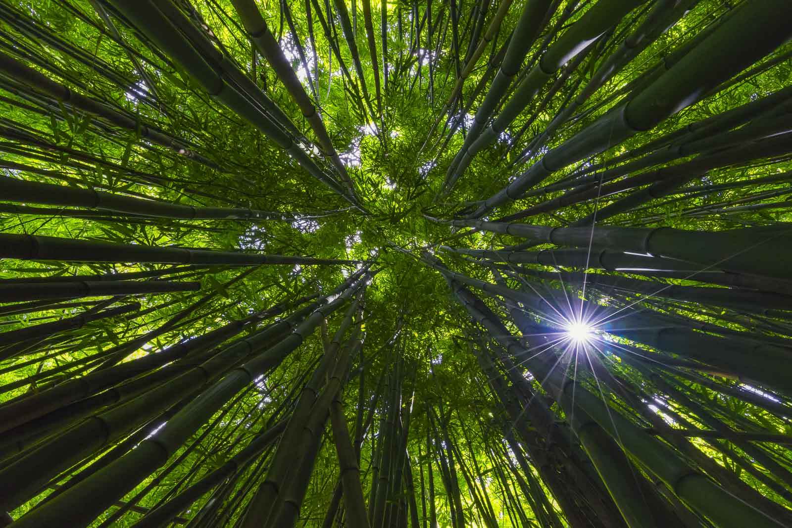 ハワイでの17ハイキングあなたはあなたの人生で一度試さなければなりません