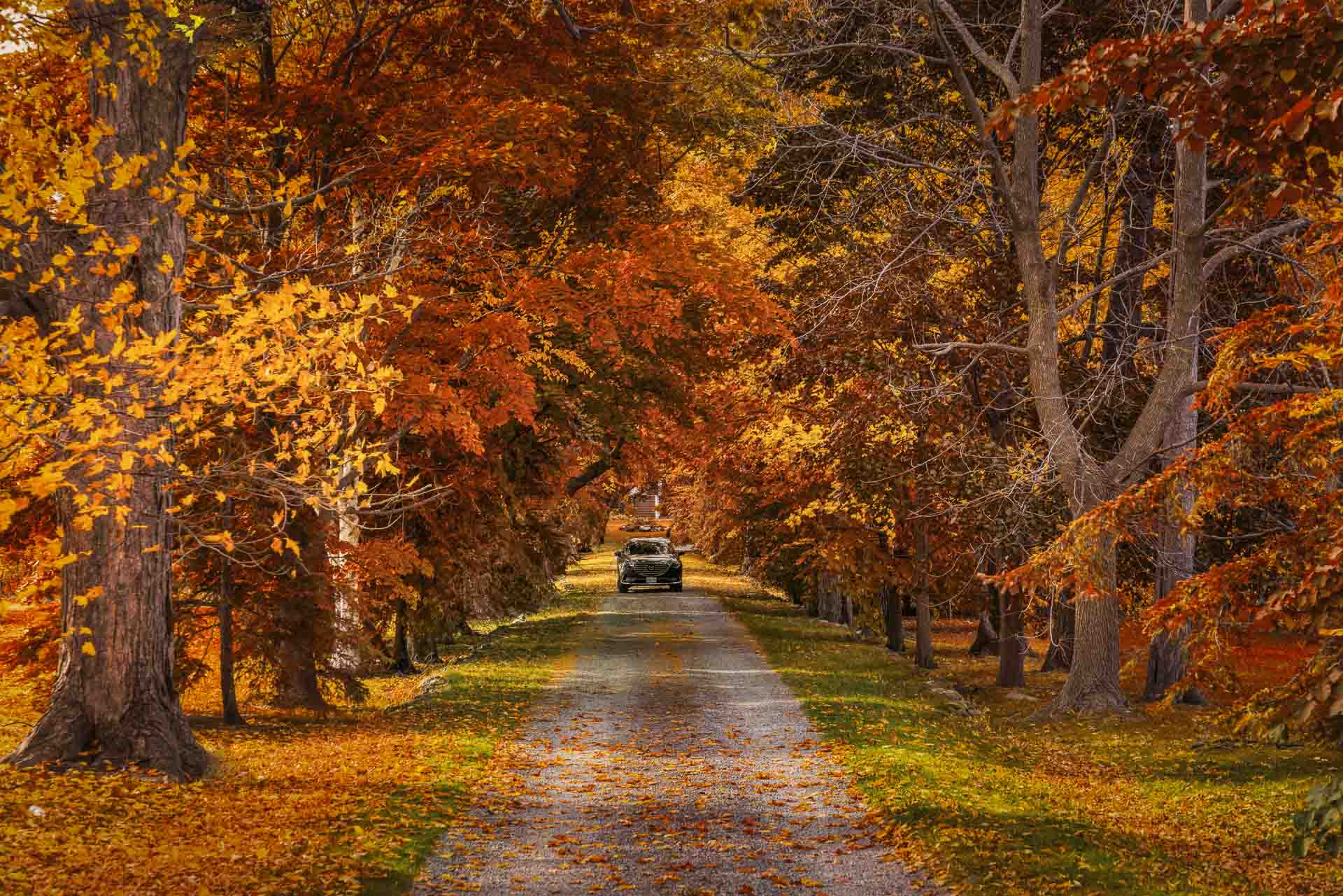 2025年のトロントからのベストデイトリップ：トップ24エスケープ