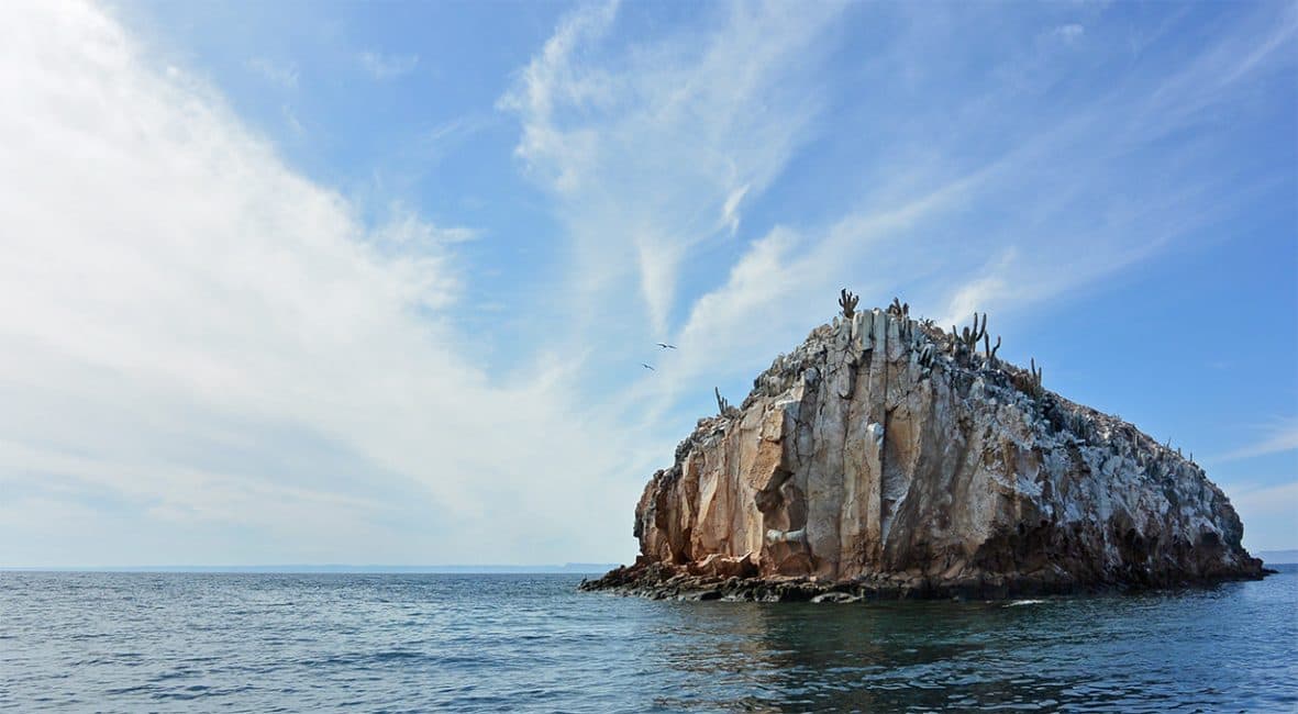 メキシコの島の聖なる忘れられない冒険