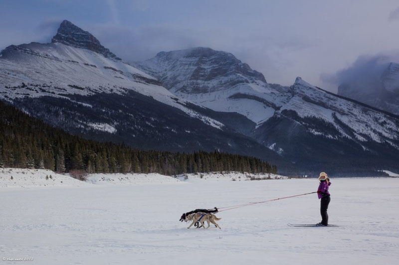 スキージョーリングについて聞いたことがありますか？知っておくべきすべてを見つけてください