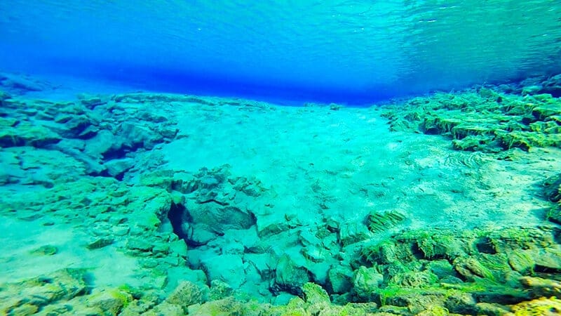 シルフラでのダイビング