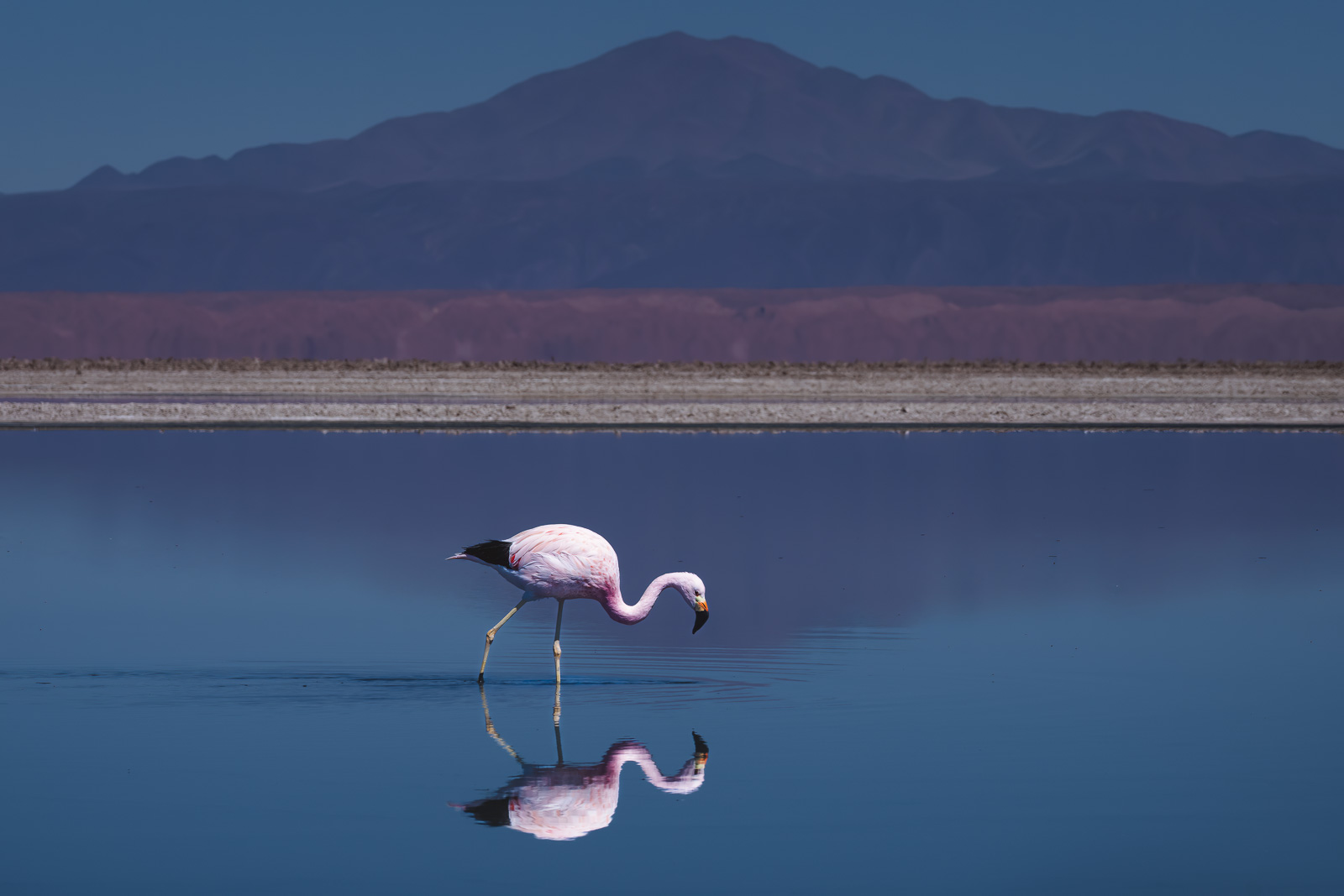 26南アメリカに関する楽しくて興味深い事実