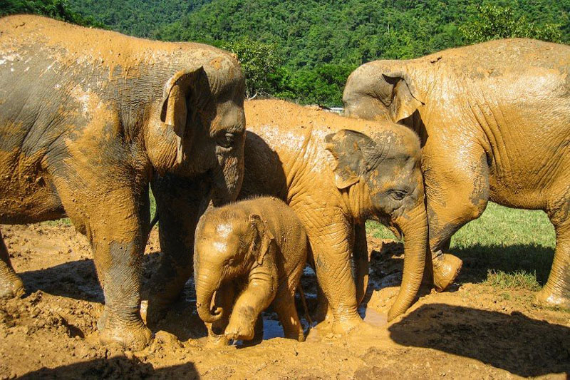 タイの責任ある観光の重要性