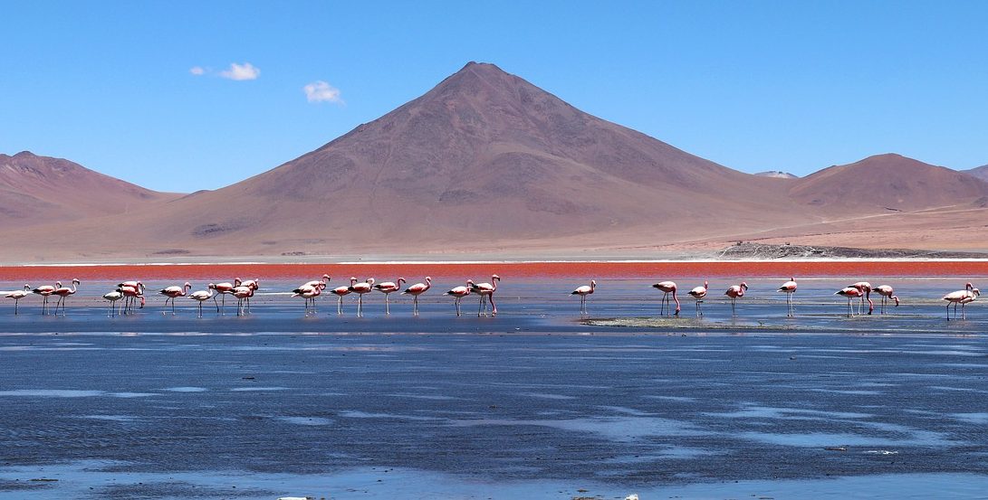 ボリビアに旅行するべき10の理由