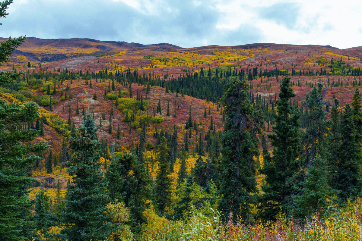 ポコノスを発見する：ペンシルベニアの風光明媚な宝石で12の必見のアトラクション
