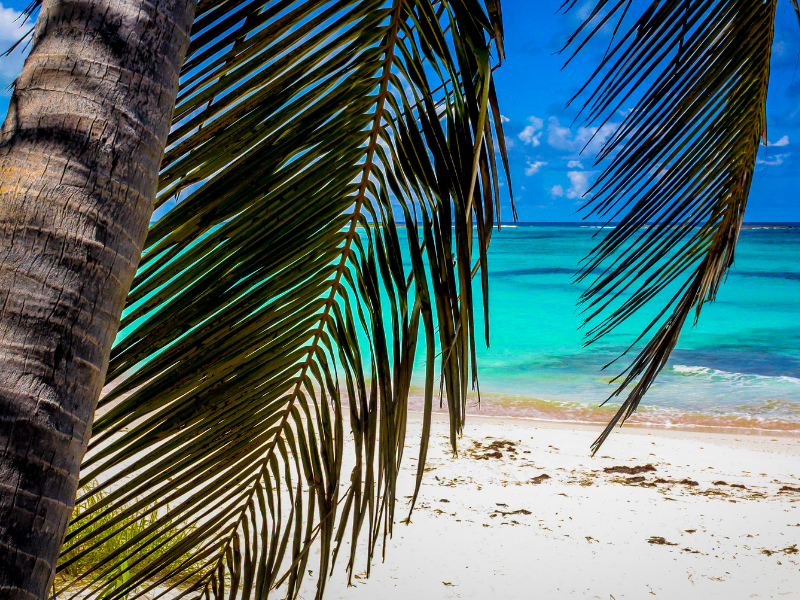滑らかな島の休暇のためのバハマのトップ5空港