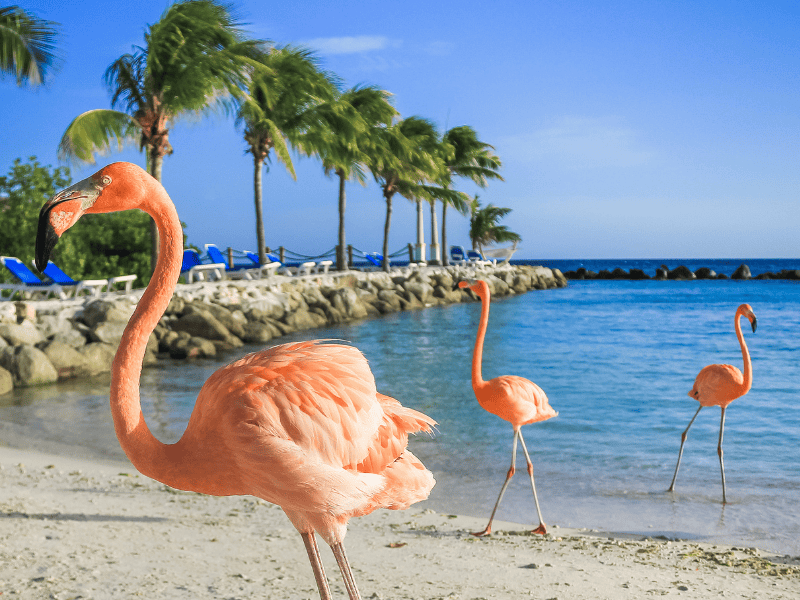 10月に訪れるのに最適な9つの島