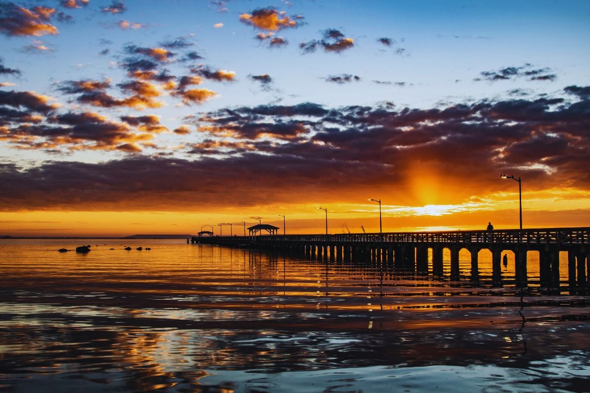 今タンパから飛ぶための13の見事で手頃な価格の場所