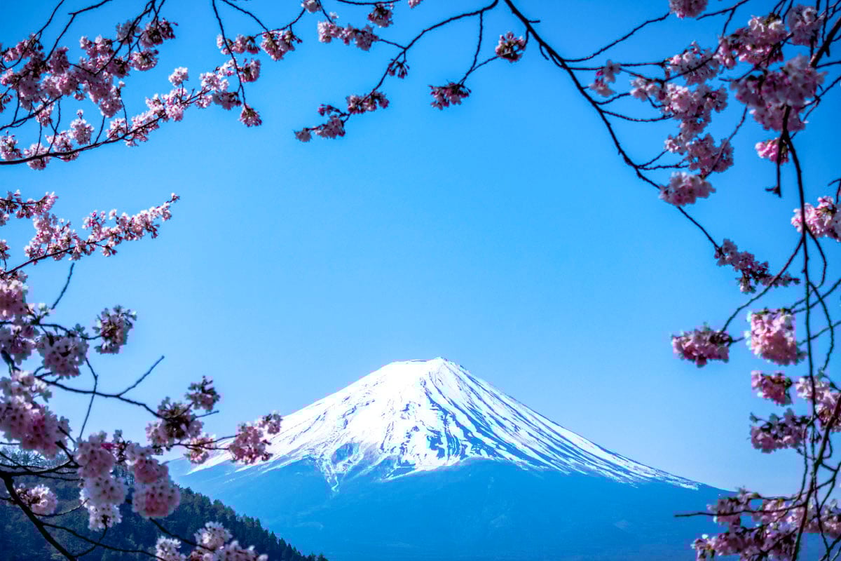 東京の12絵の完璧なスポットは夢のように感じる