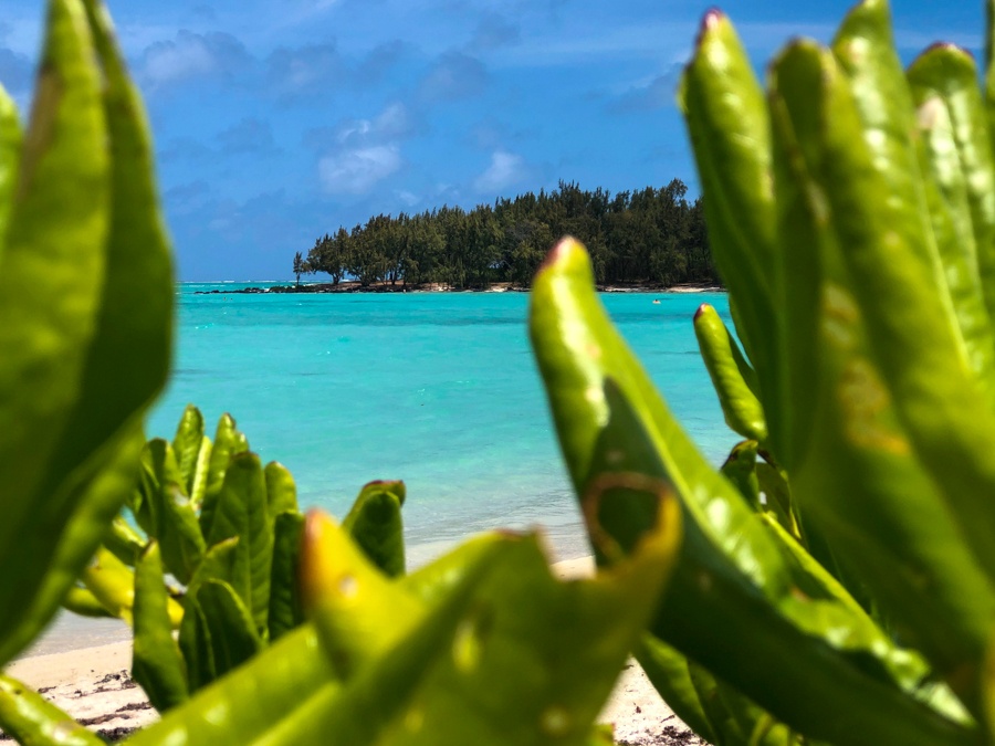 最高のモーリシャスツアー：あなたが好きになるトップ評価のモーリシャスの遠足