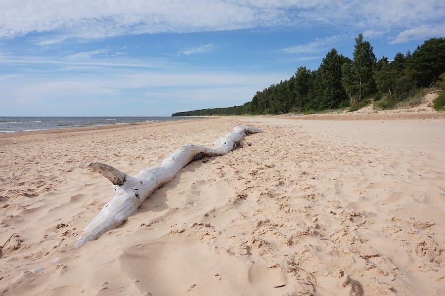 ラトビアのリガからの10日間の驚くべき価値のある日帰り旅行