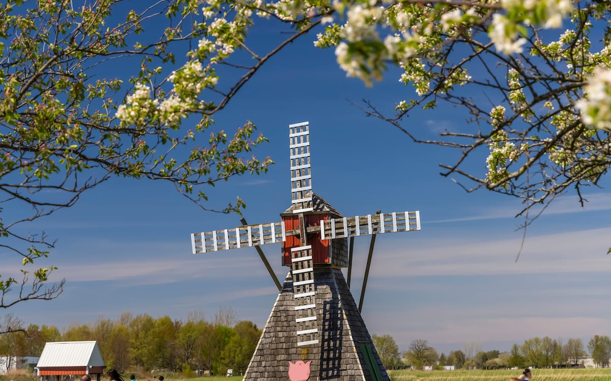 デトロイトからの20の多様な日帰り旅行（+週末のオプション！）