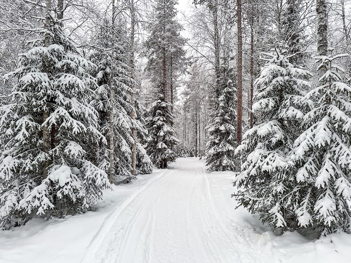 2月（2026年版）にロバニエミを訪問するためのローカルのガイド