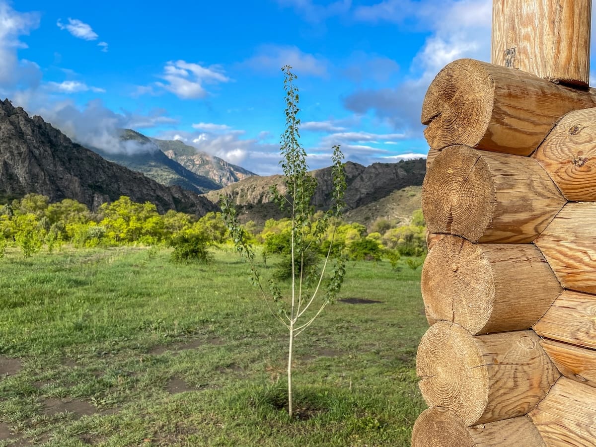 アルメニアのコーカサス野生生物保護区を訪問する方法（＆一晩滞在してください！）