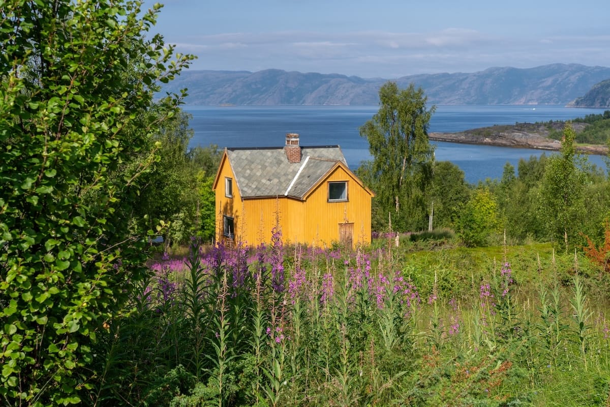 夏のアルタ:訪問する前に何を知るべきか +やるべきこと