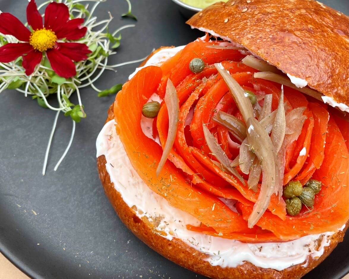 アレキパレストランガイド