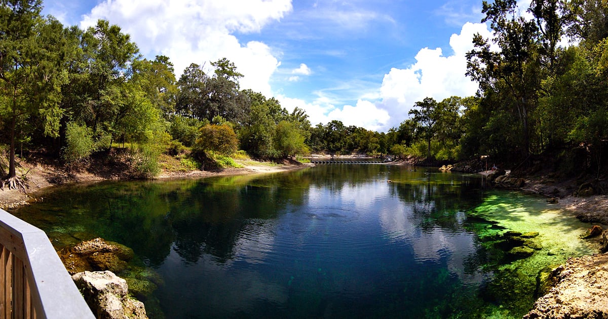 フロリダ州にあるこの美しい州立公園はとても静かで、もう帰りたくなくなるでしょう