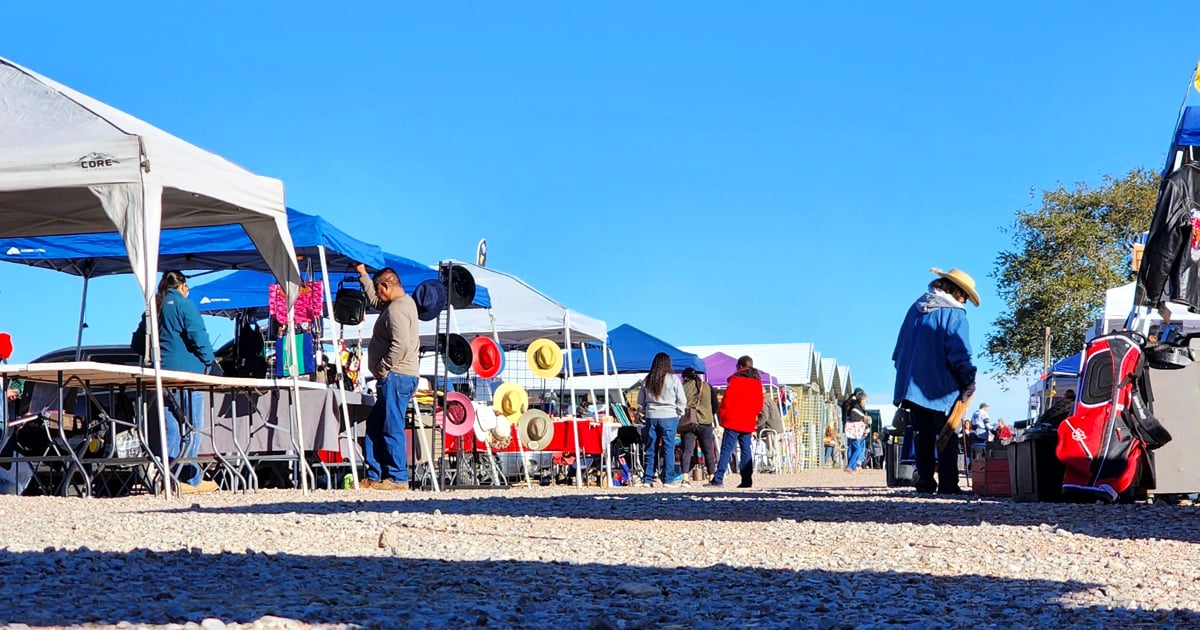 30 ドルで後部座席がお買い得品でいっぱいになる、ニューメキシコ州の大規模なスワップ ミーティング