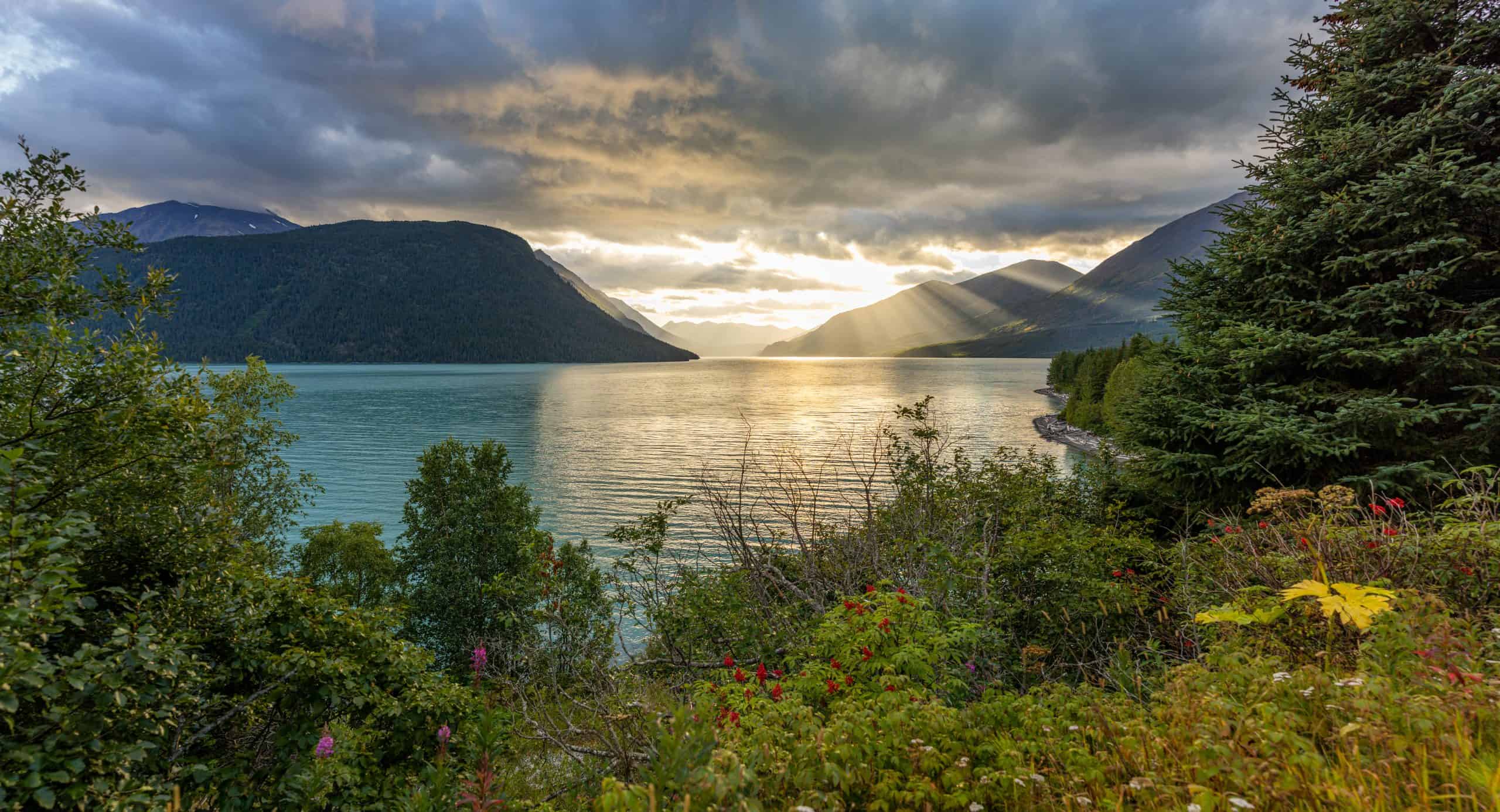 スワードについて