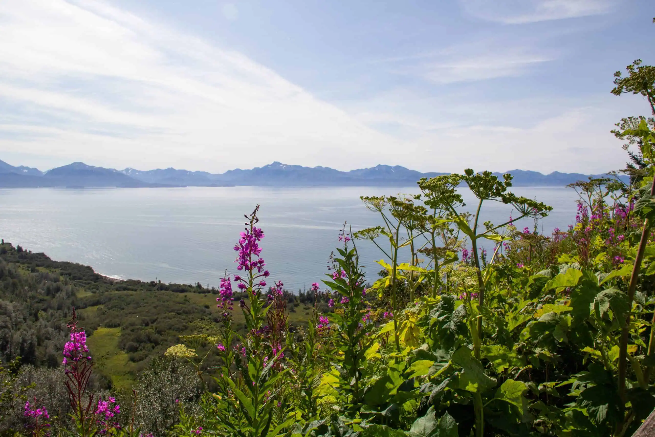 アラスカでの20の信じられないほどのバケットリストエクスペリエンス[無料ダウンロード！]