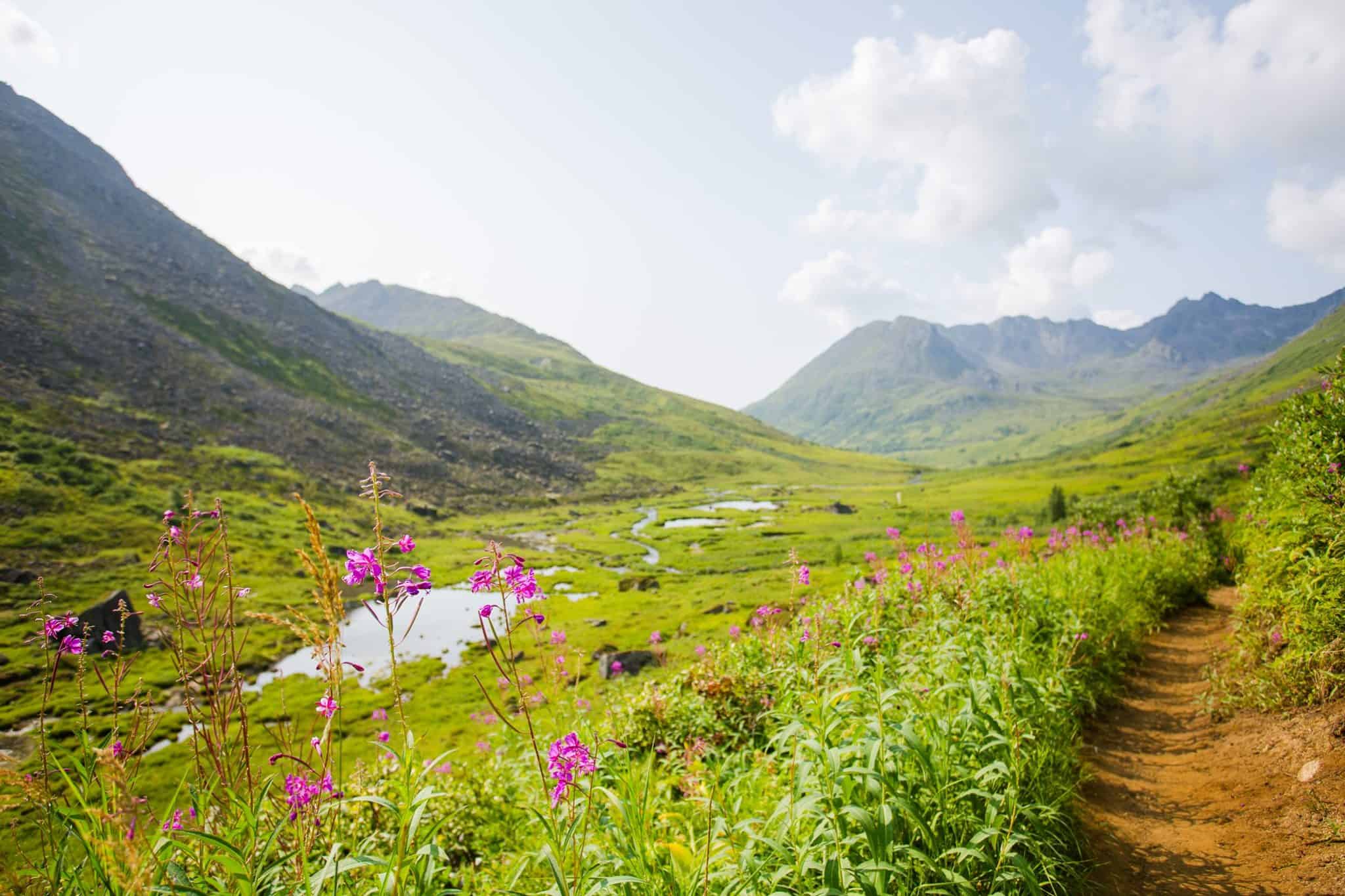 アラスカ州パーマーでやるべき22の最善のこと[地元から]