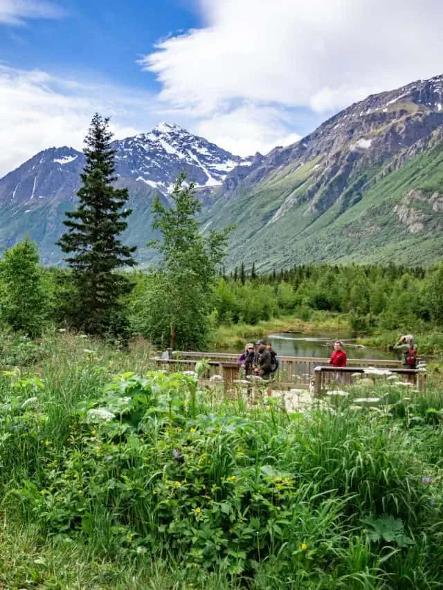 完璧な10日間のアラスカロードトリップ +旅程