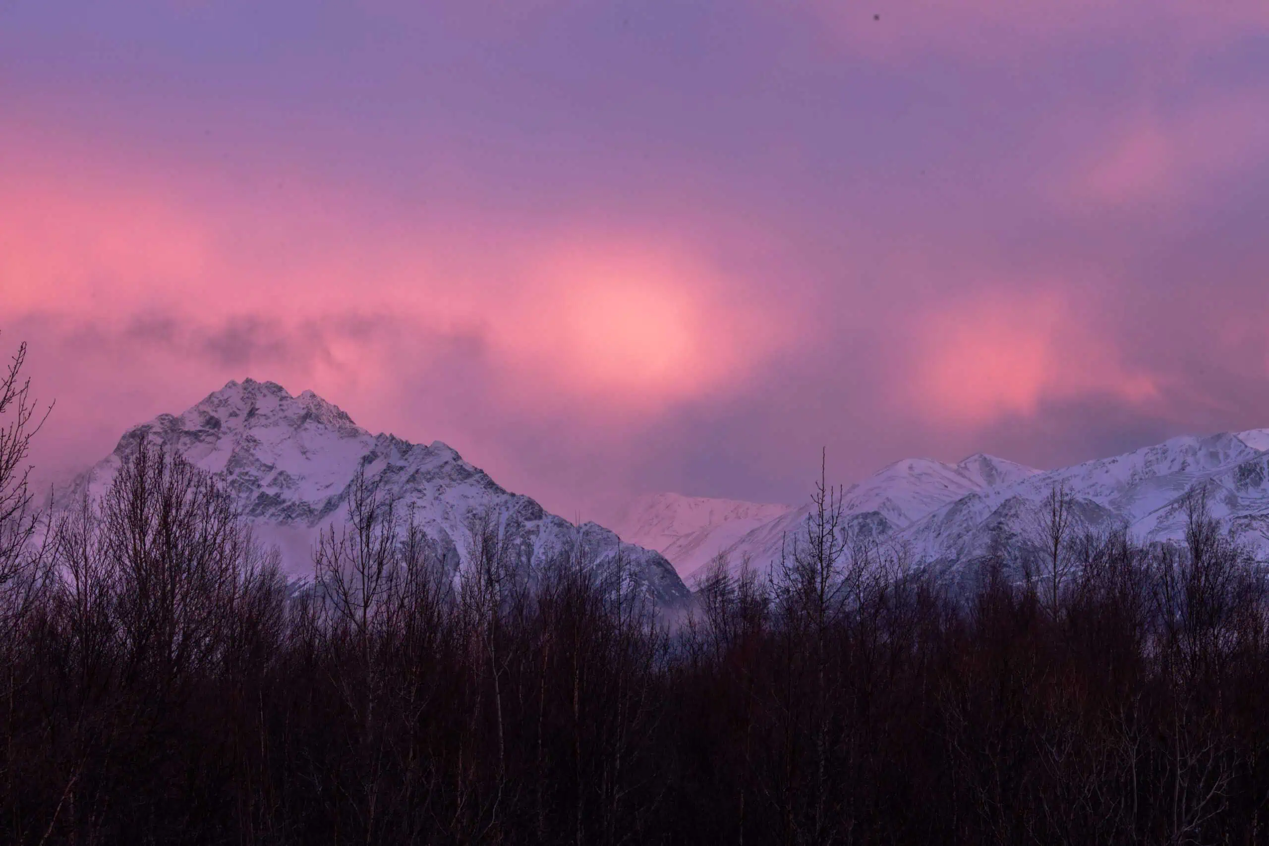 壮大な7日間のアラスカ冬の旅程：ハイライト