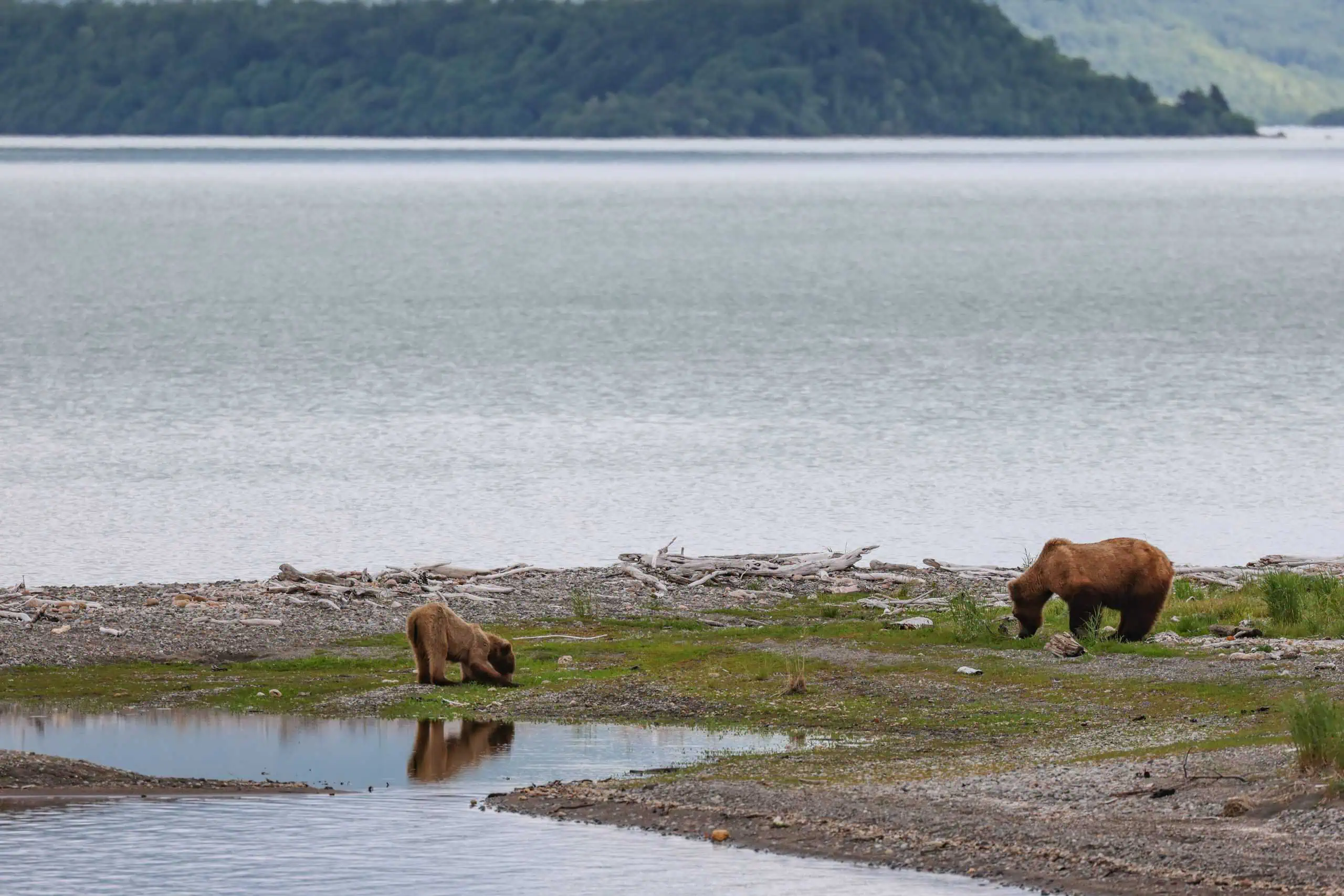 6月のアラスカ：天気情報と旅行のヒント