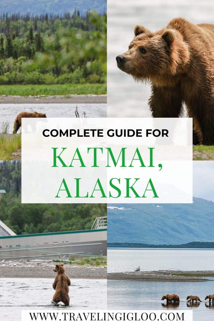 Katmai国立公園を訪れるための完全なガイド（+一晩のヒント）