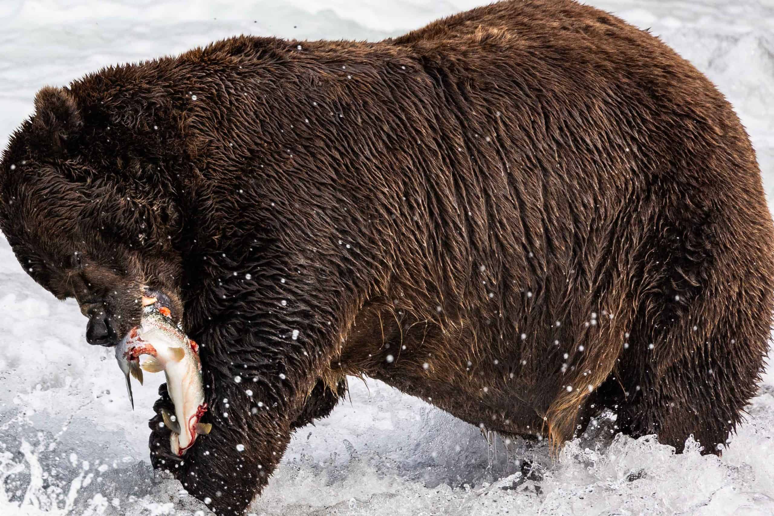 6月、7月、9月にKatmaiを訪問する必要がありますか？