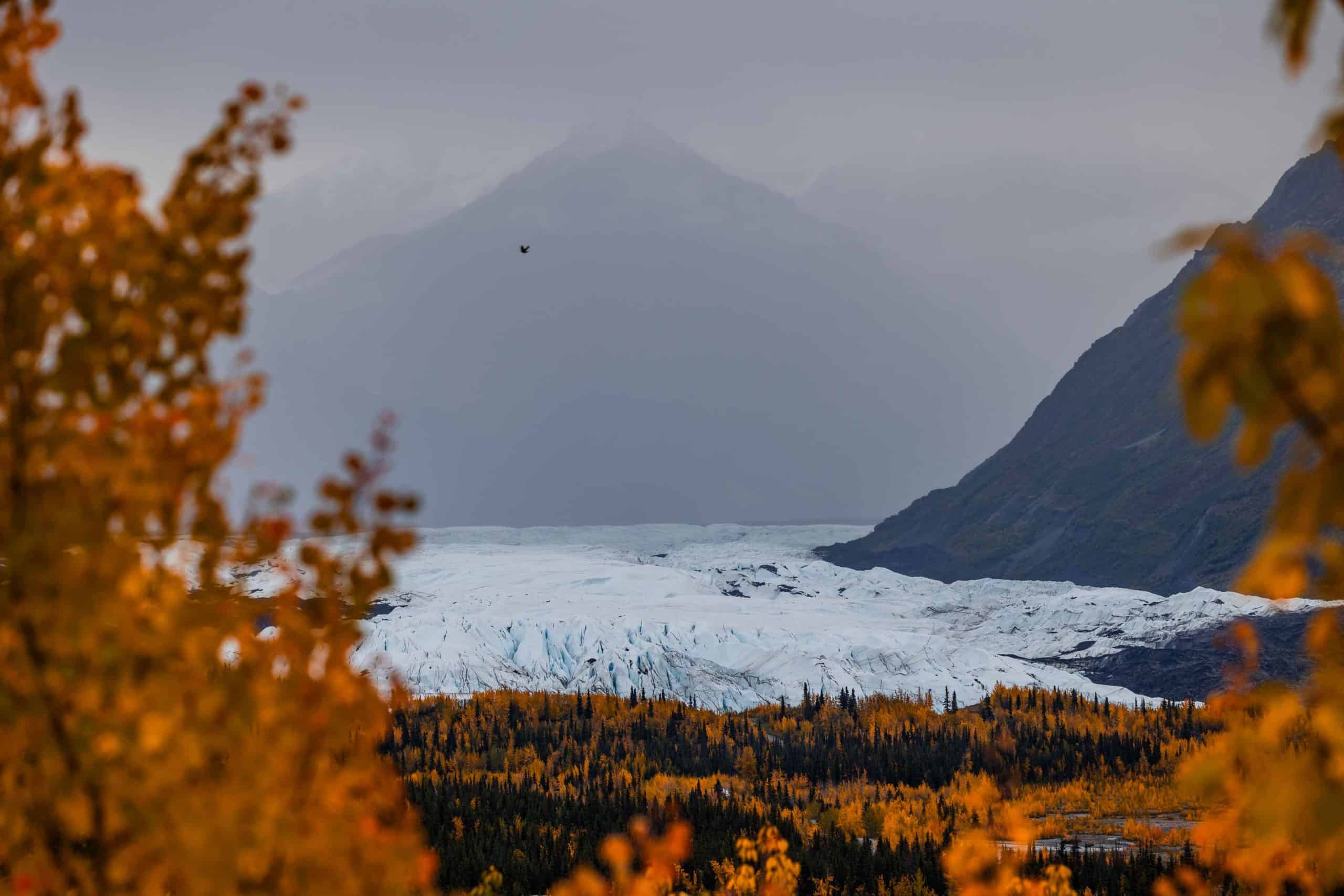 アラスカに落ちる:完璧な7日間秋の葉の旅程
