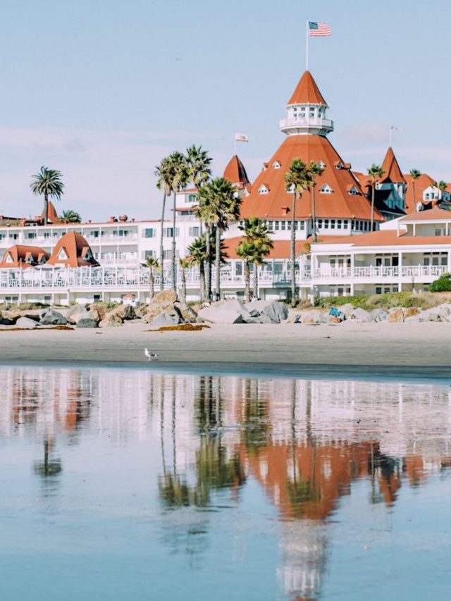 ミステリーピクニック：食べ物愛好家のための冒険