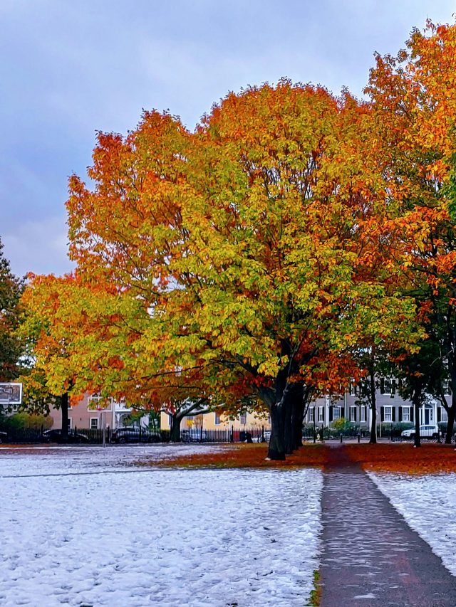 マサチューセッツ州セーラムの8つの最高のホテル