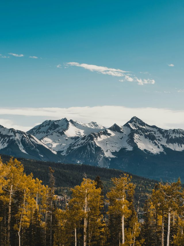 バチェロレットの逃走で最高:予期しない選択