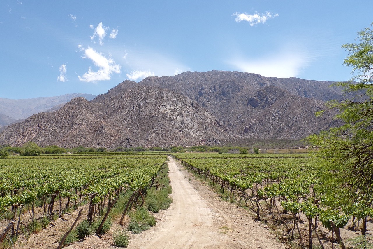 Cafayate Travel Guide