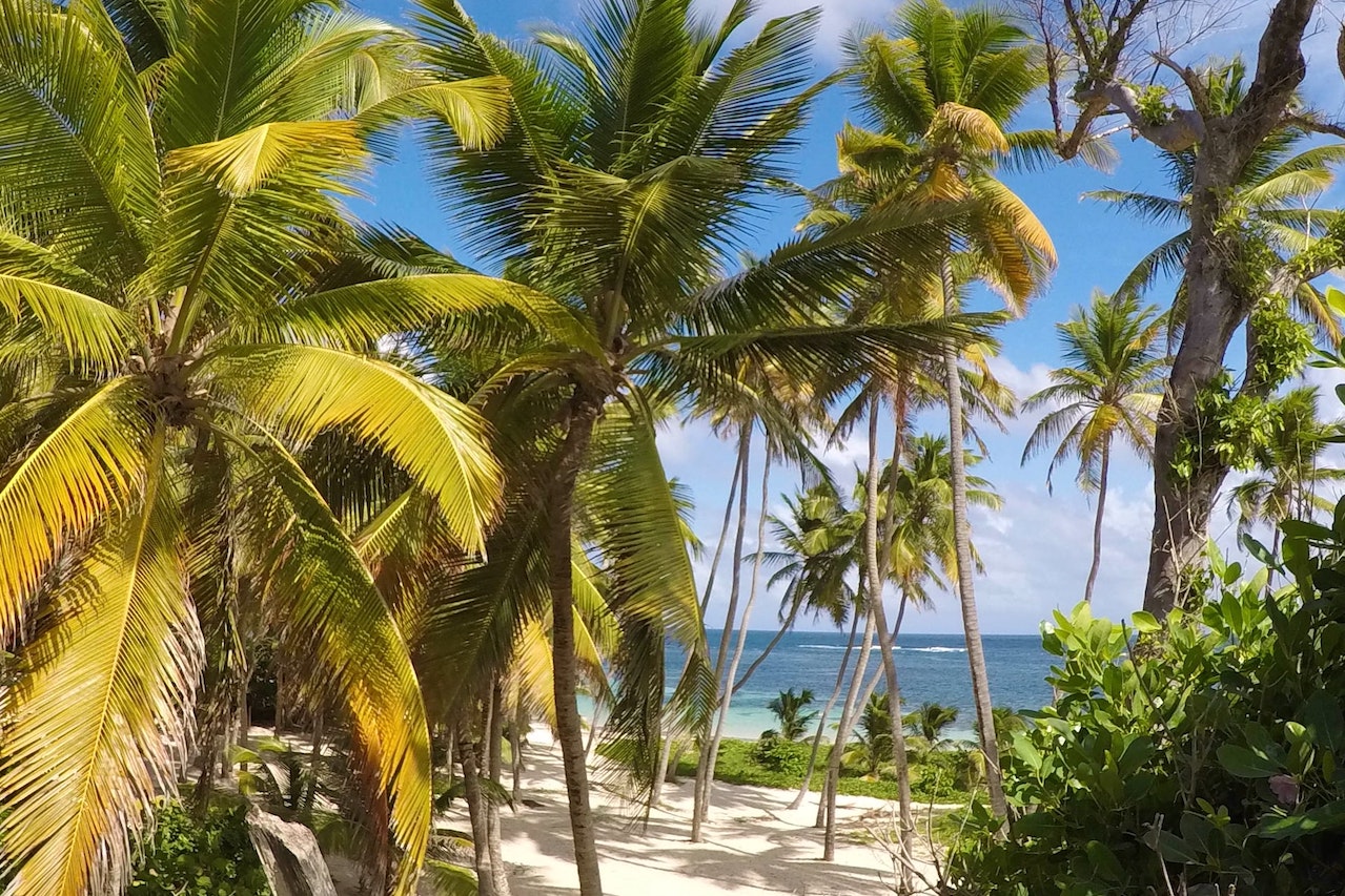 Martinique Travel and Backpacking Guide