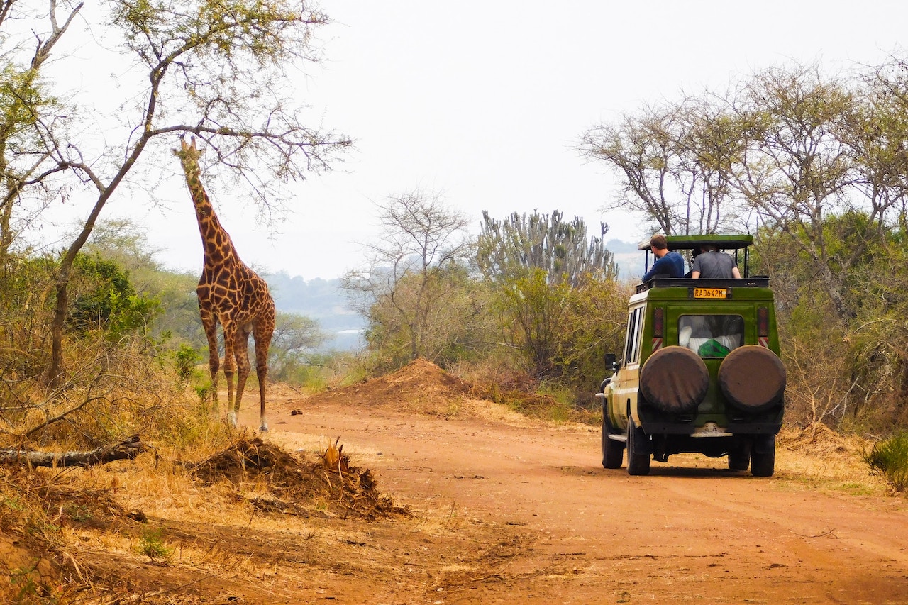 ルワンダのAkagera国立公園を訪れるためのヒント
