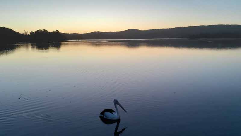 ニューサウスウェールズ州南海岸：誰もが熱狂するロードトリップ