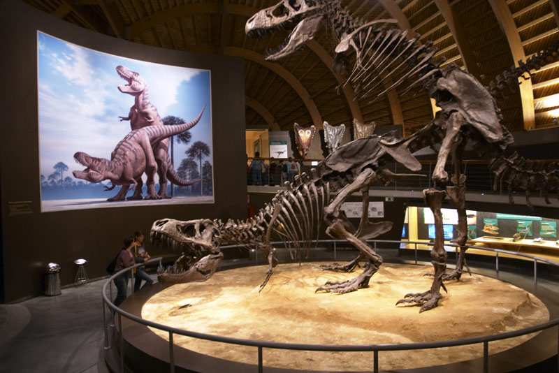 Oviedoでやるべき20のことあなたは存在するとは信じられません