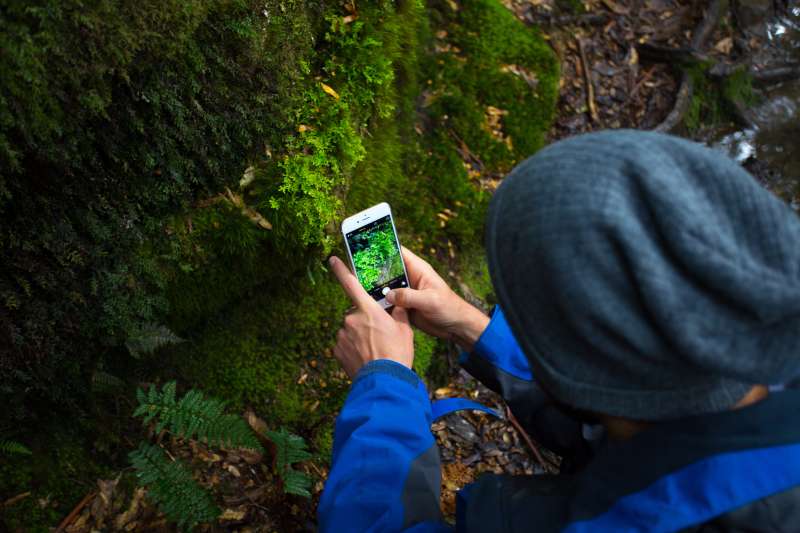 Instagramでフォローする20のタスマニア旅行アカウント