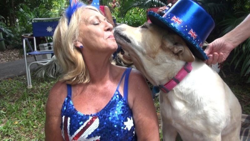 犬とのオーストラリアデイビデオとは何ですか