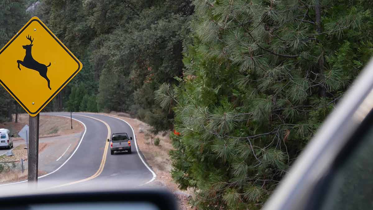 ボストンからサンフランシスコ：3,000マイルのアメリカで最も野生の道端のアトラクション