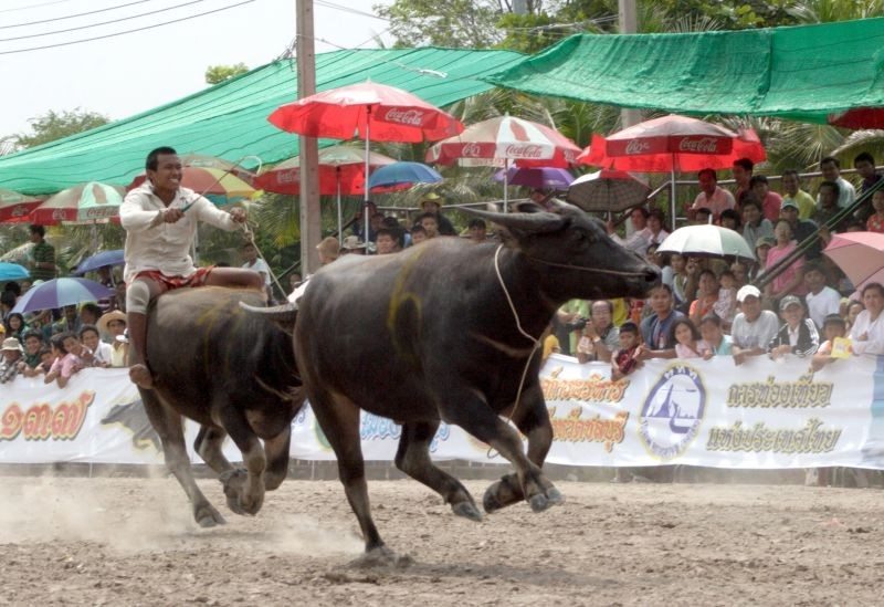 バッファローレーシングフェスティバル