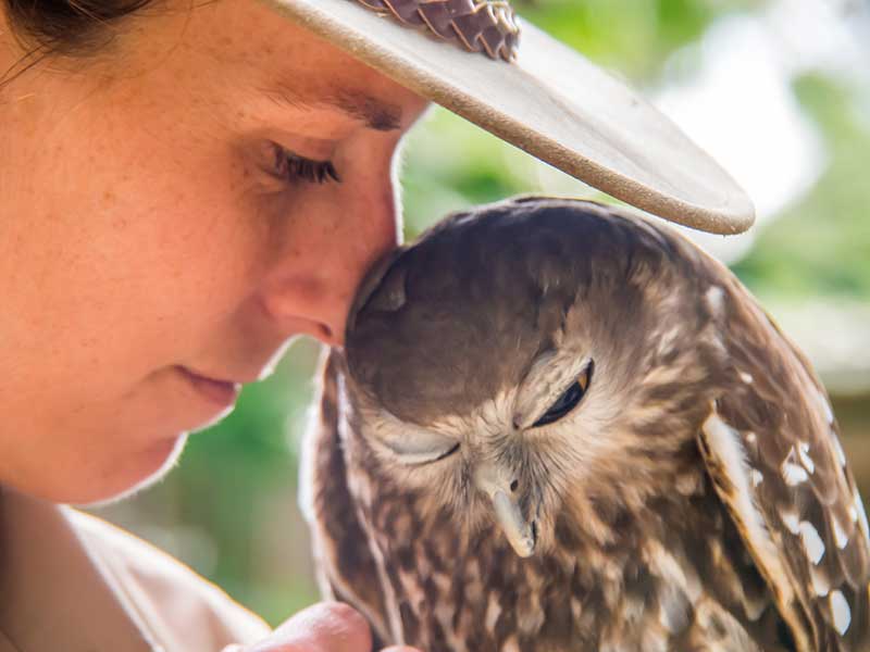 Currumbin Wildlife Sanctuary