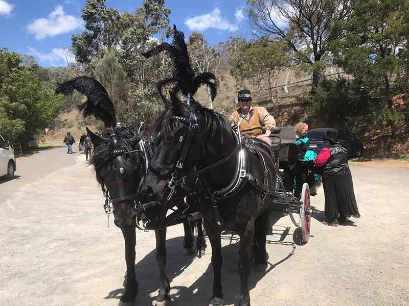 Goulburnでやるべき17の驚くべきこと