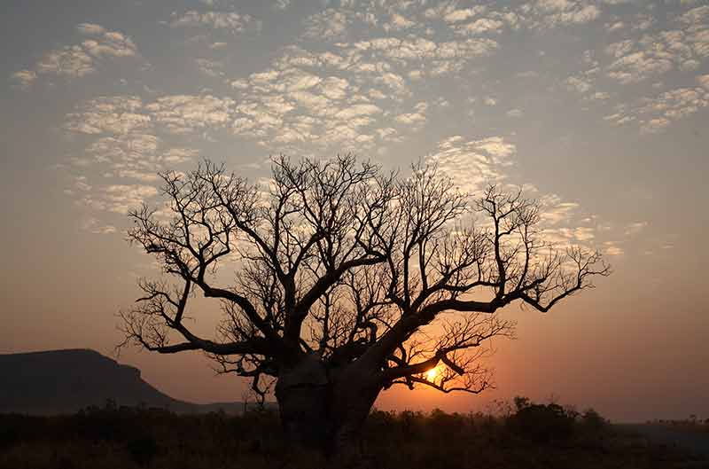 オーストラリアの最後のフロンティア、キンバリーでやるべき15のこと