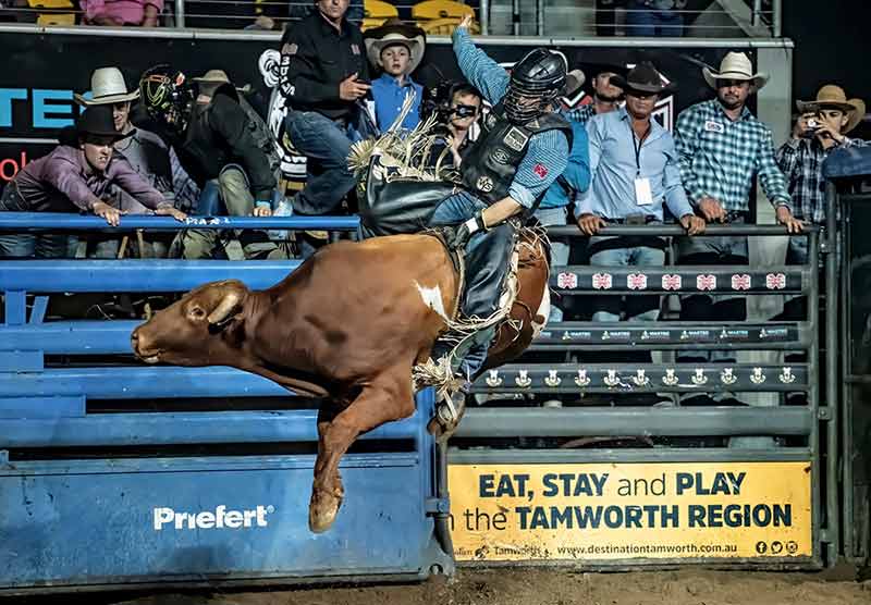 究極のカントリー ミュージック巡礼のためにタムワースでやるべき 20 のこと