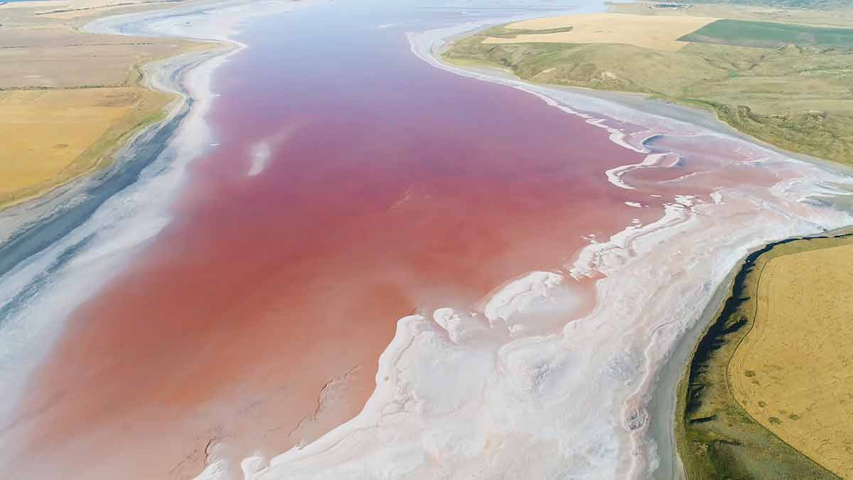 ピンクの湖について知る必要があるすべて（ワシントン州）